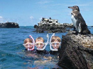 La faune étonnante des îles Galapagos
