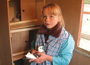Arina, championne de l’élevage des pigeons voyageurs
