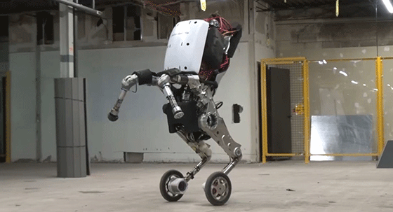 Handle, le robot acrobate