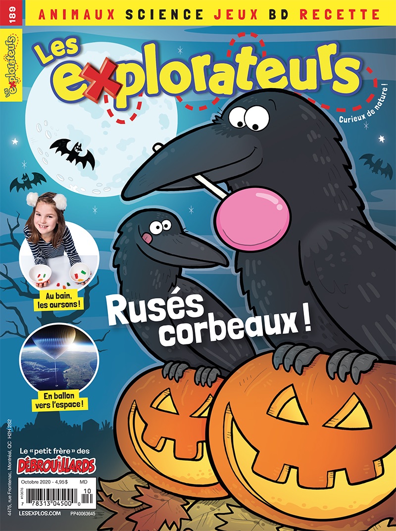 Octobre 2020 – Rusés corbeaux!