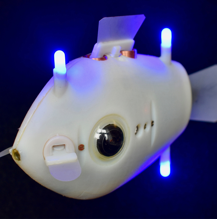 Les poissons-robots nagent à l’unisson