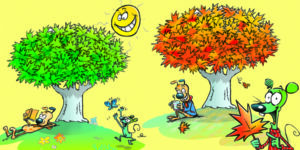 Comment Le Feuilles Des Arbres Changent-elles De Couleur? - Les ...