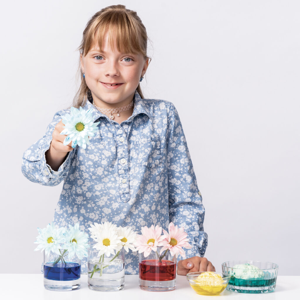 Une fillette tient une marguerite avec les pétales teintes en bleu. elle est placée devant des vases d'eau coloré remplis de fleurs.