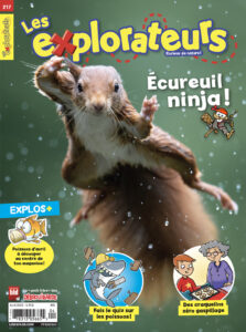 Les Explorateurs – Avril 2023 – Écureuil ninja !