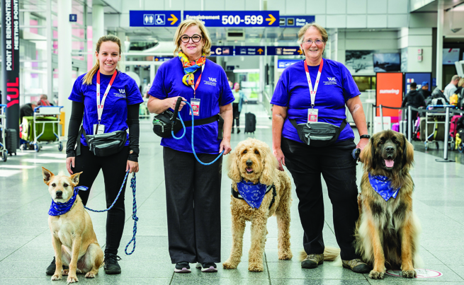 3 chiens de l'escouade câline de l'aéroport de Montréal avec leur maître