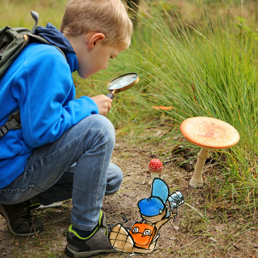 Activité : Safari-photo de champignons