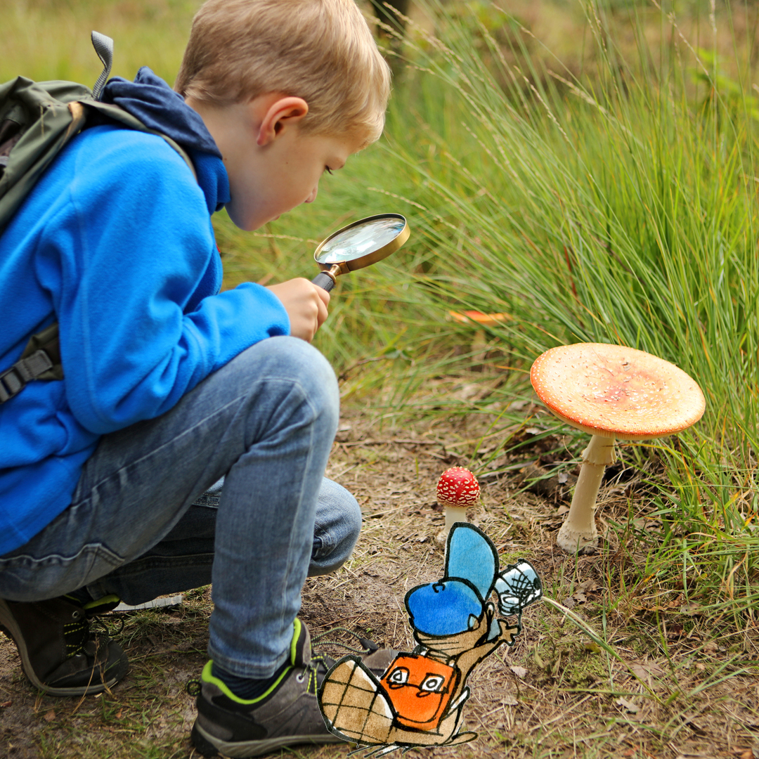 Un jeune qui observe un champignon avec une loupe