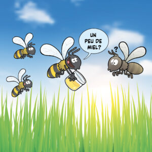 Les abeilles, pas toutes pareilles