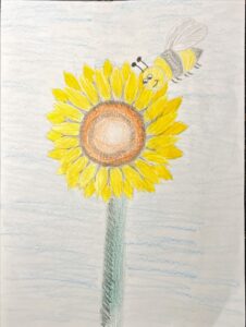 Dessine une fleur et un insecte qui la butine_Clique ici