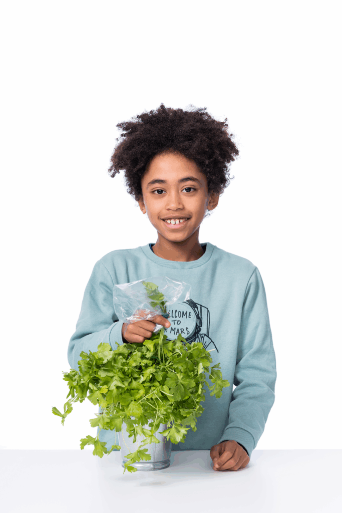 Expérience : La transpiration des plantes