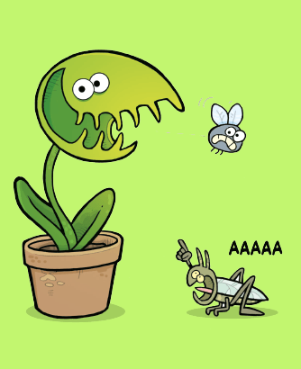 Des plantes qui ont du mordant!