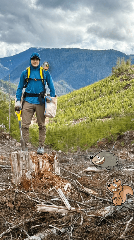 Il plante des arbres!