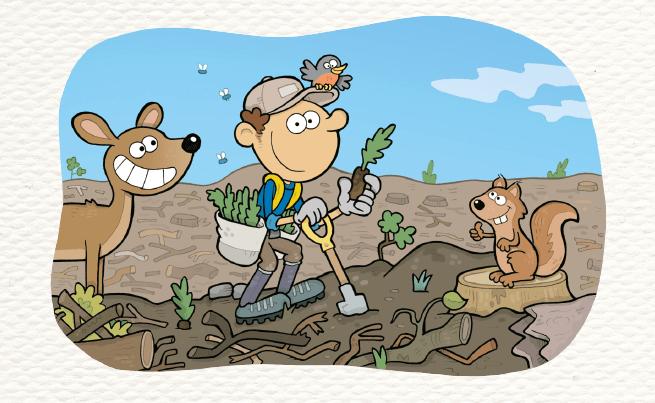 illustration d'un reboiseur au travail