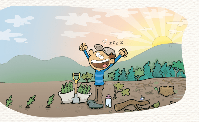 illustration d'un reboiseur au travail