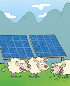 Ça grouille sous les panneaux solaires