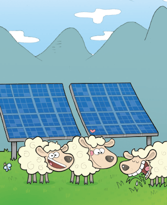 Ça grouille sous les panneaux solaires