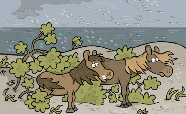 illustration de chevaux sauvages s'abritant dans les buissons