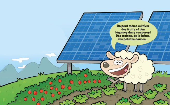 dessin d'un mouton dans un potager devant des panneaux solaires
