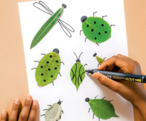 Activité : Insectes feuillus