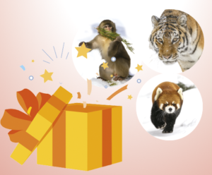 Concours anniversaire par Les Explorateurs et le Zoo de Granby